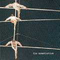 The Messthetics - s/t (LP, clear green vinyl)