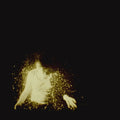 Wolf Alice - My Love Is Cool (2xLP)