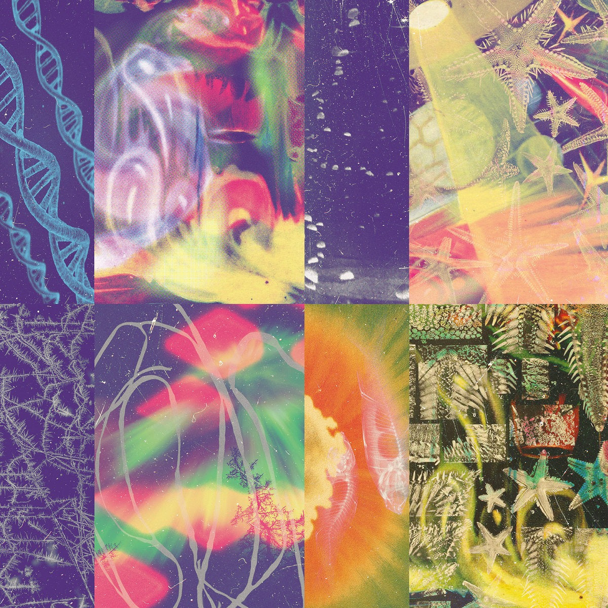 SALE: Nap Eyes - The Neon Gate (LP) was £24.99