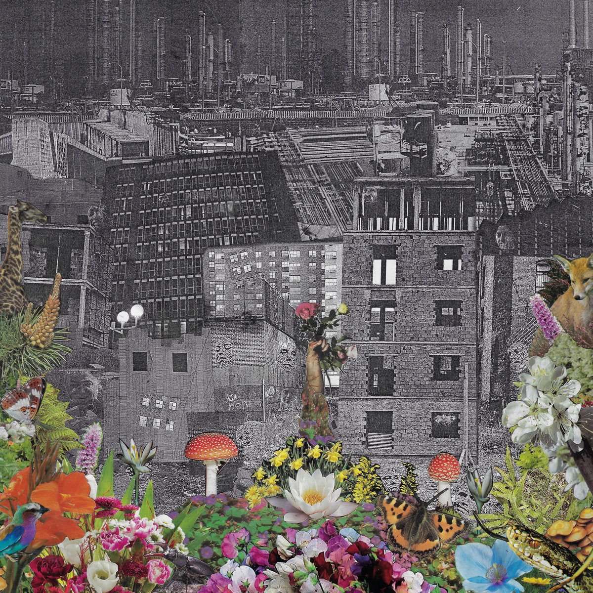 bloody head - Perpetual Eden (LP)