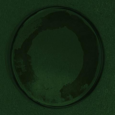 Personable (M. Geddes Gengras) - Oyster (LP)