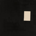 The Psychotic Monks - Private Meaning First (2xLP)