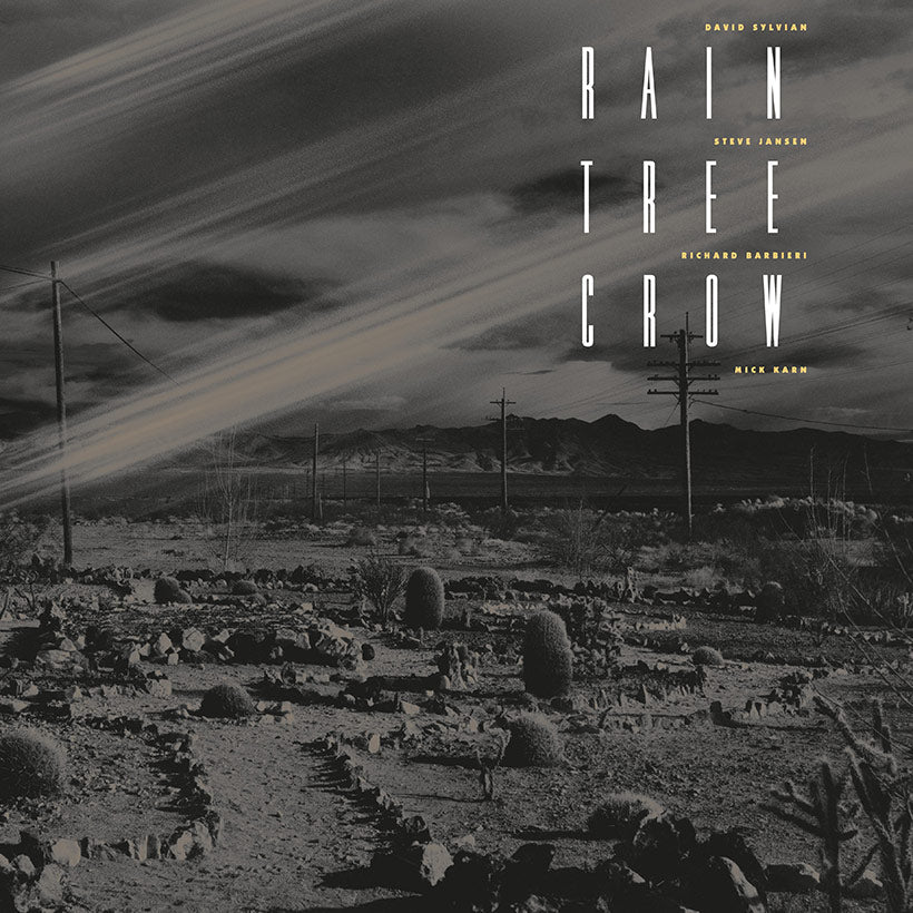 Rain Tree Crow - s/t (CD)