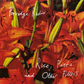 Porridge Radio - Rice, Pasta And Other Fillers (LP, clear vinyl)