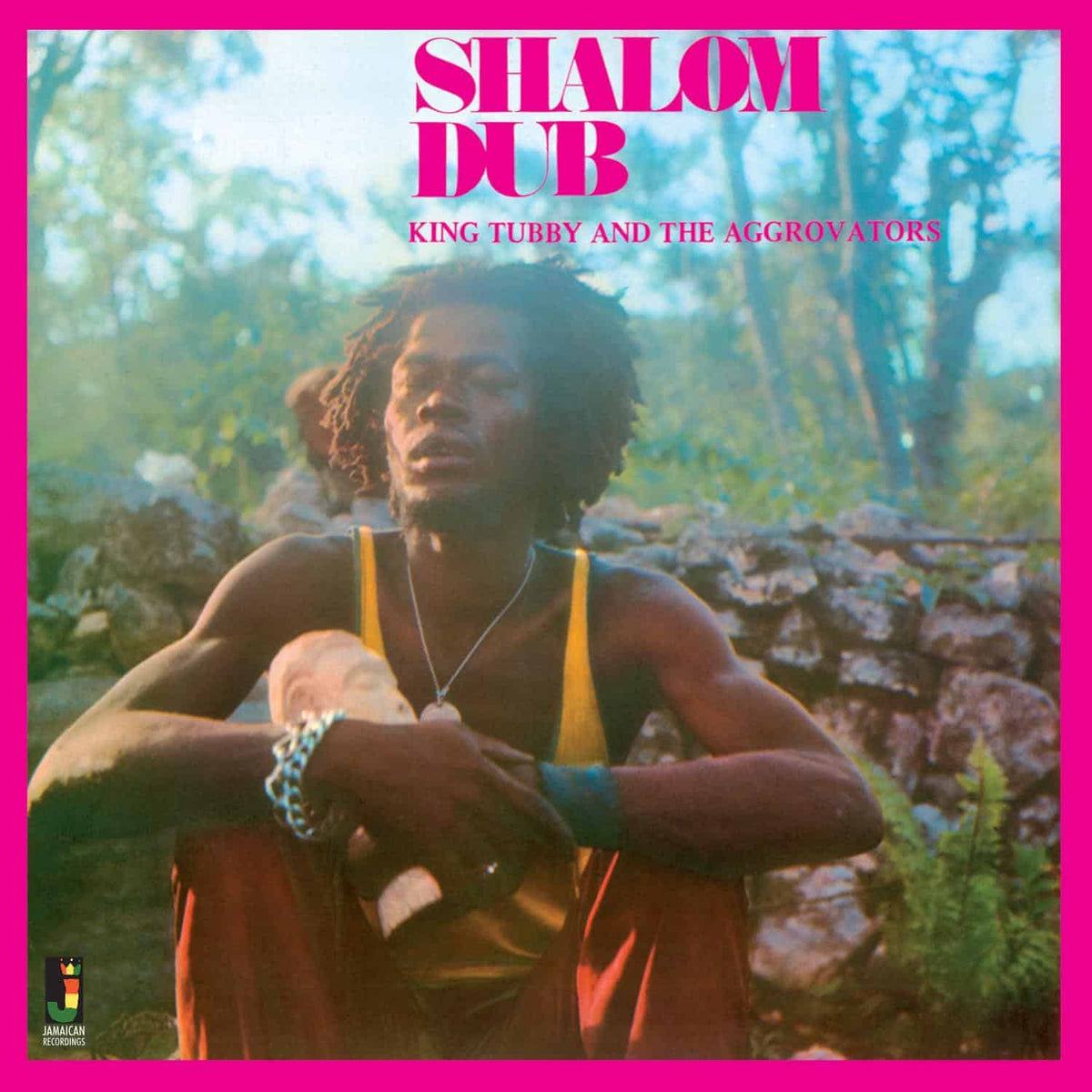 King Tubby & The Aggrovators - Shalom Dub (LP)