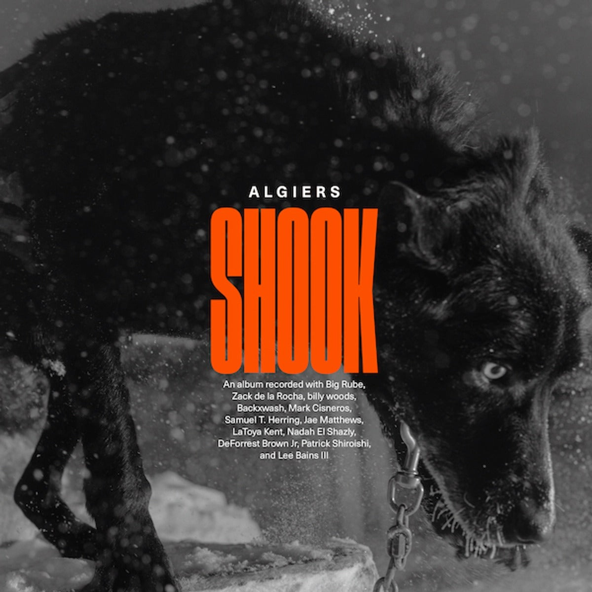 SALE: Algiers - Shook (2xLP, gold vinyl) was £25.99