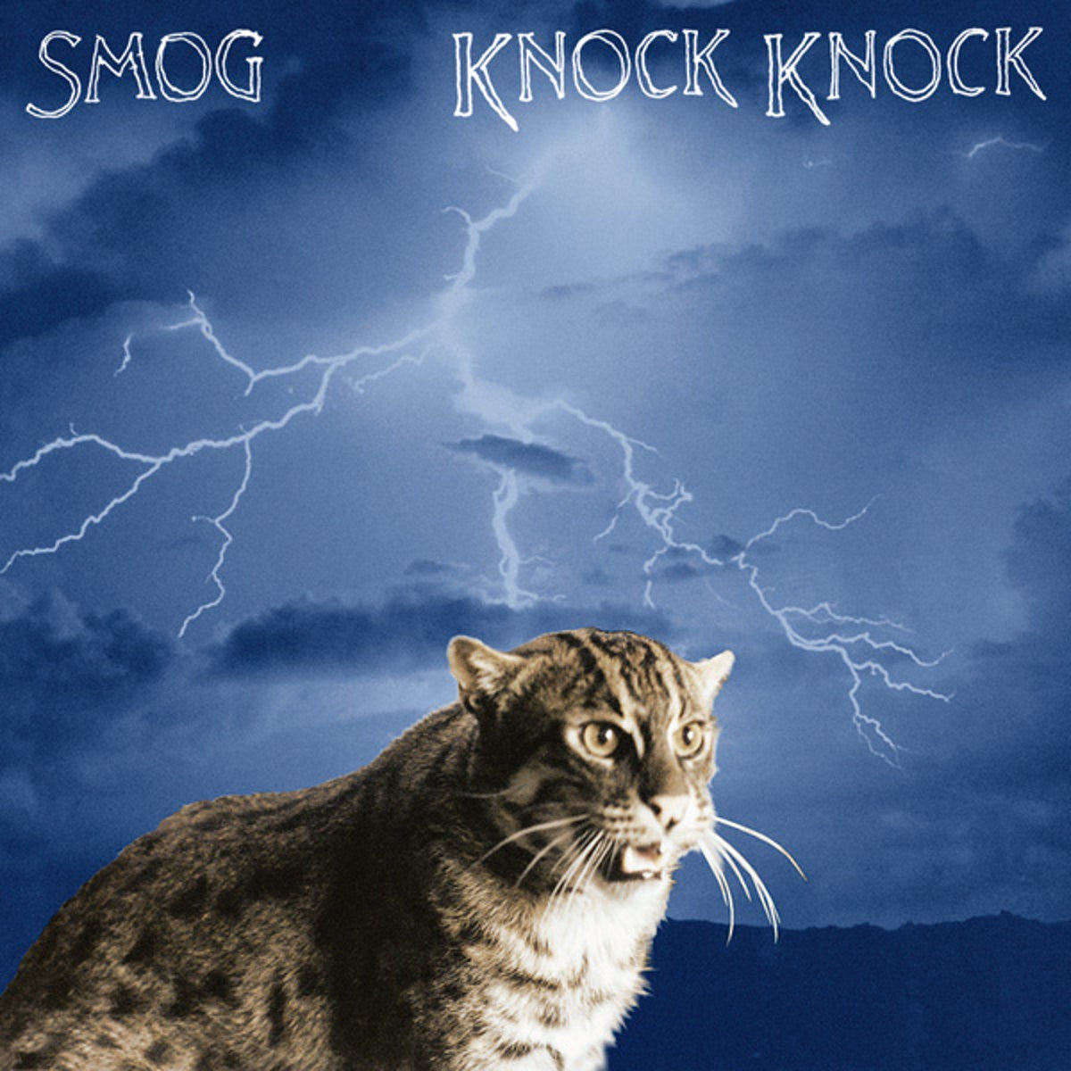Smog - Knock Knock (LP, 20th anniversary half-speed remaster)
