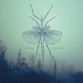 Winter Family - South From Here LP