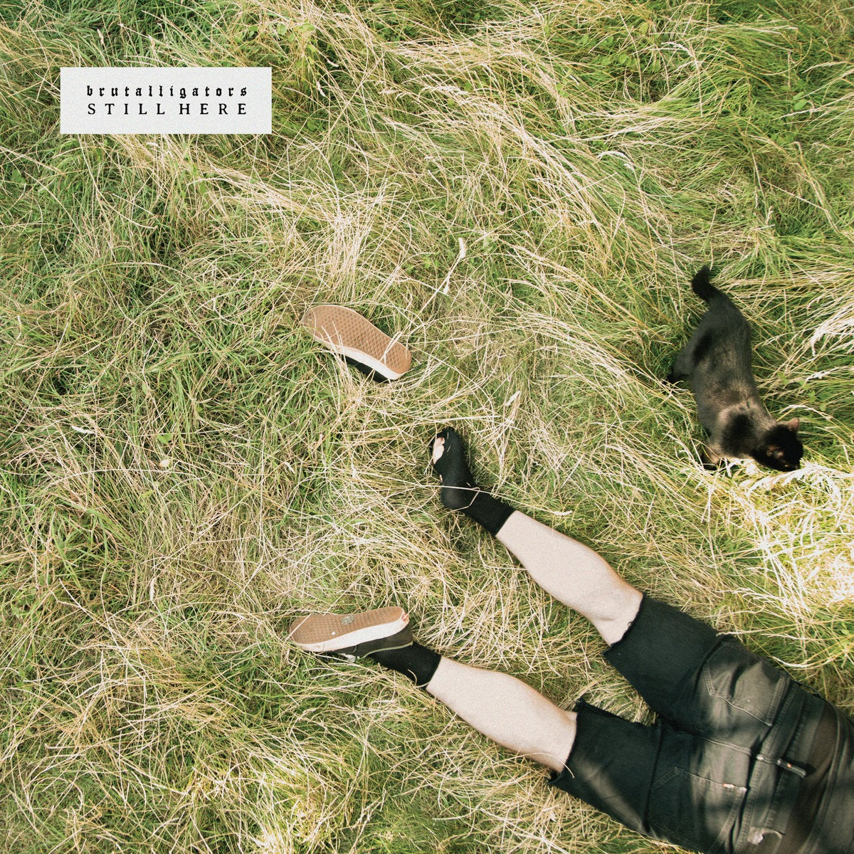 Brutalligators - Still Here (LP)