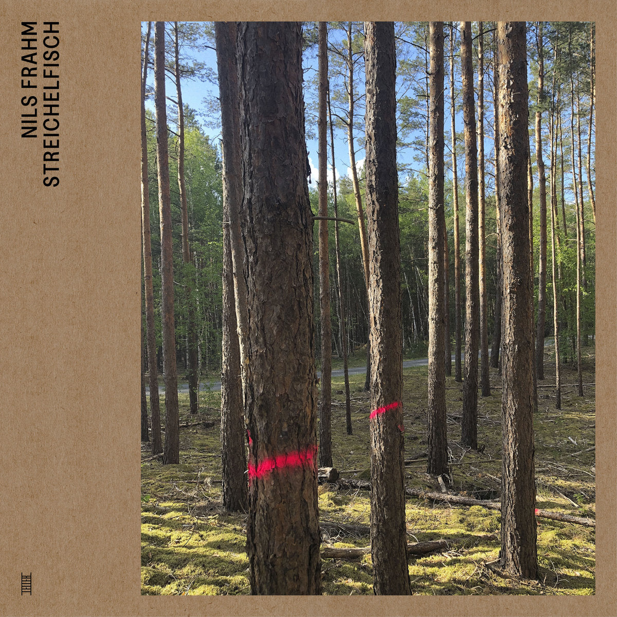Nils Frahm - Streichelfisch (LP)
