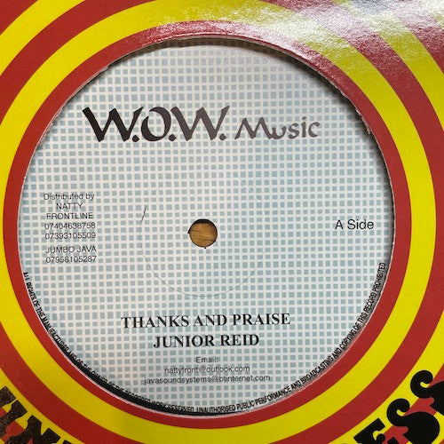 Junior Reid - Thanks And Praise (12")