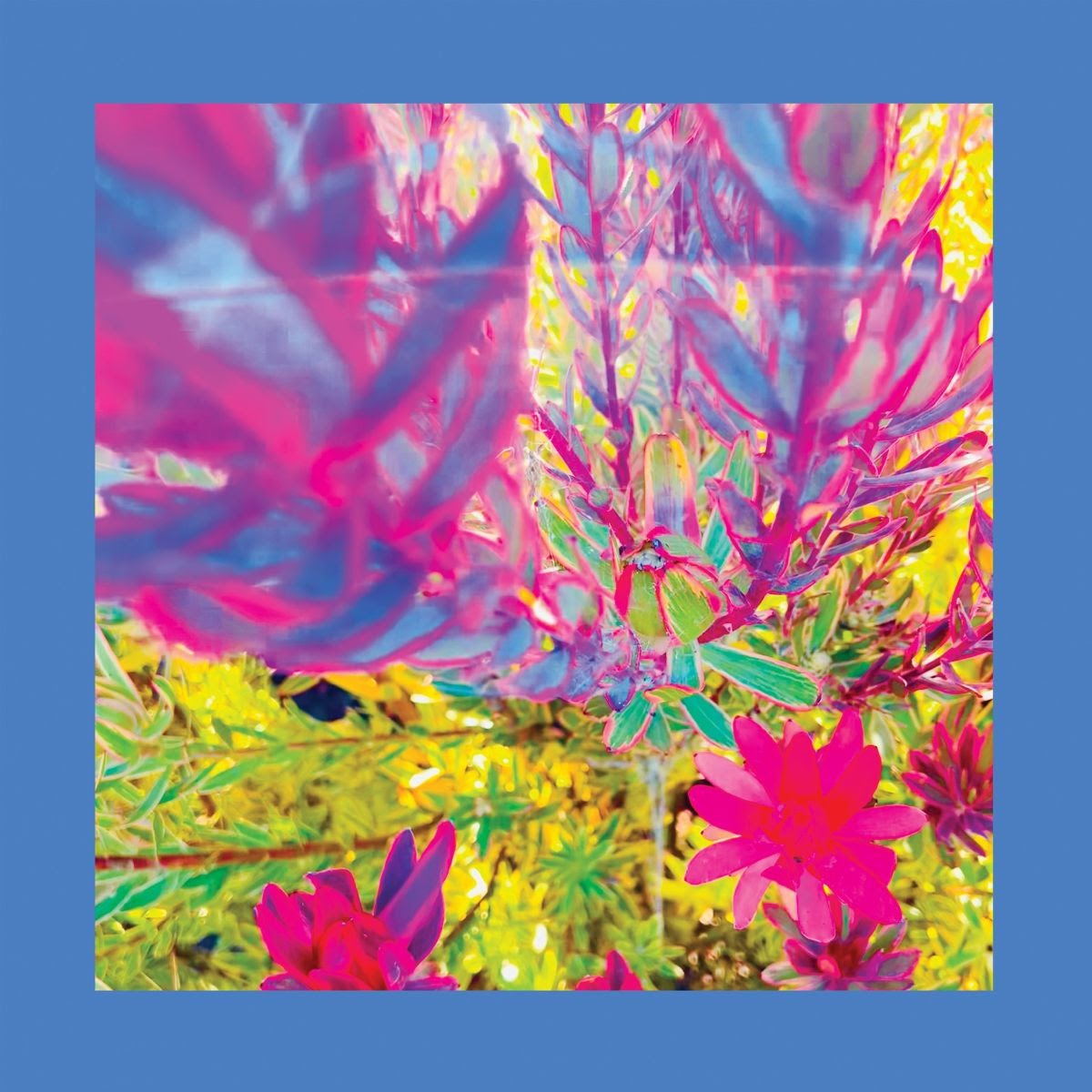 The Reds, Pinks & Purples - The Past Is A Garden I Never Fed (LP, sky blue vinyl)