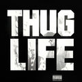 2Pac - Thug Life Volume 1 (LP)