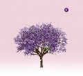SALE: Eels - Tomorrow Morning (LP) was £21.99