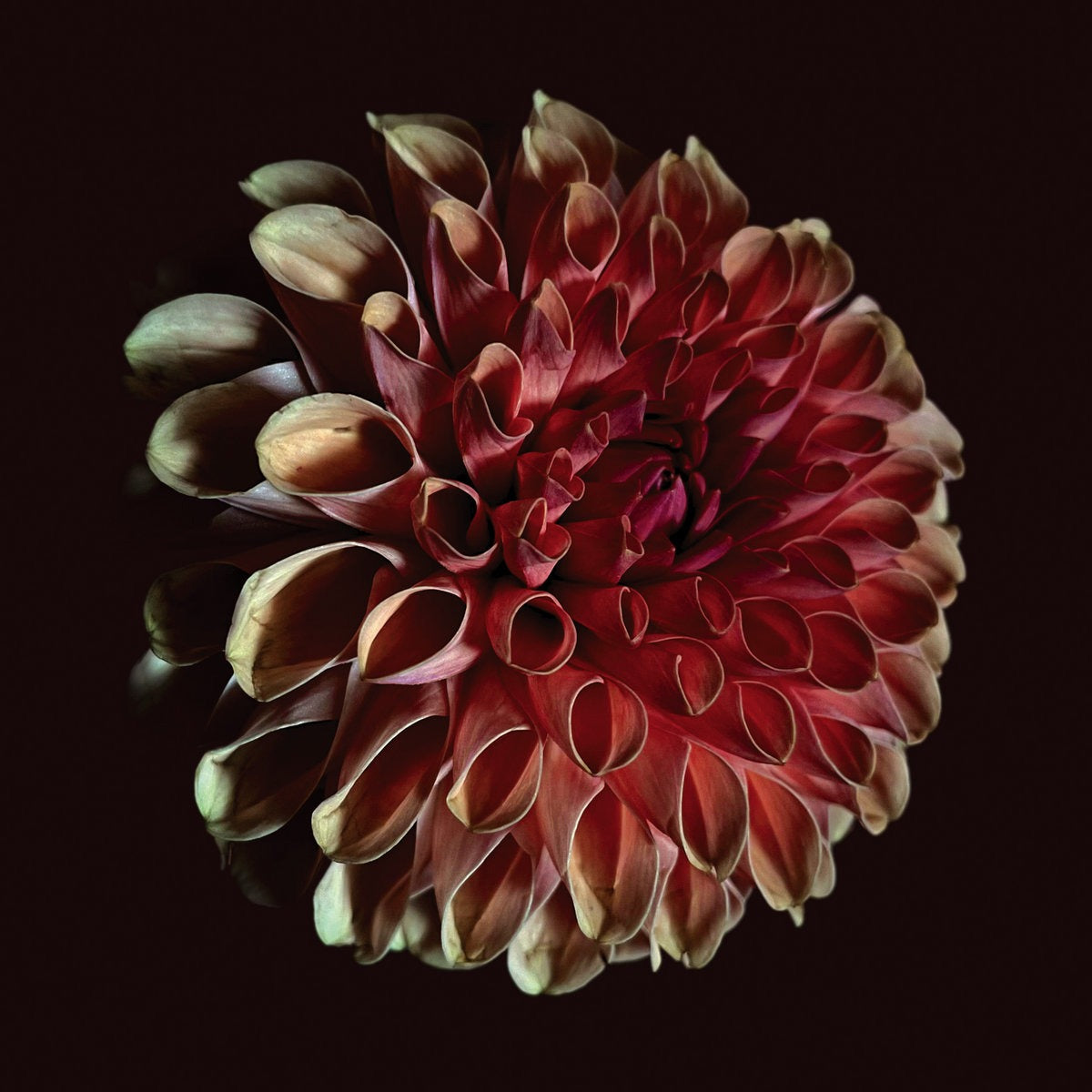 Jessica Moss - Unfolding (LP)