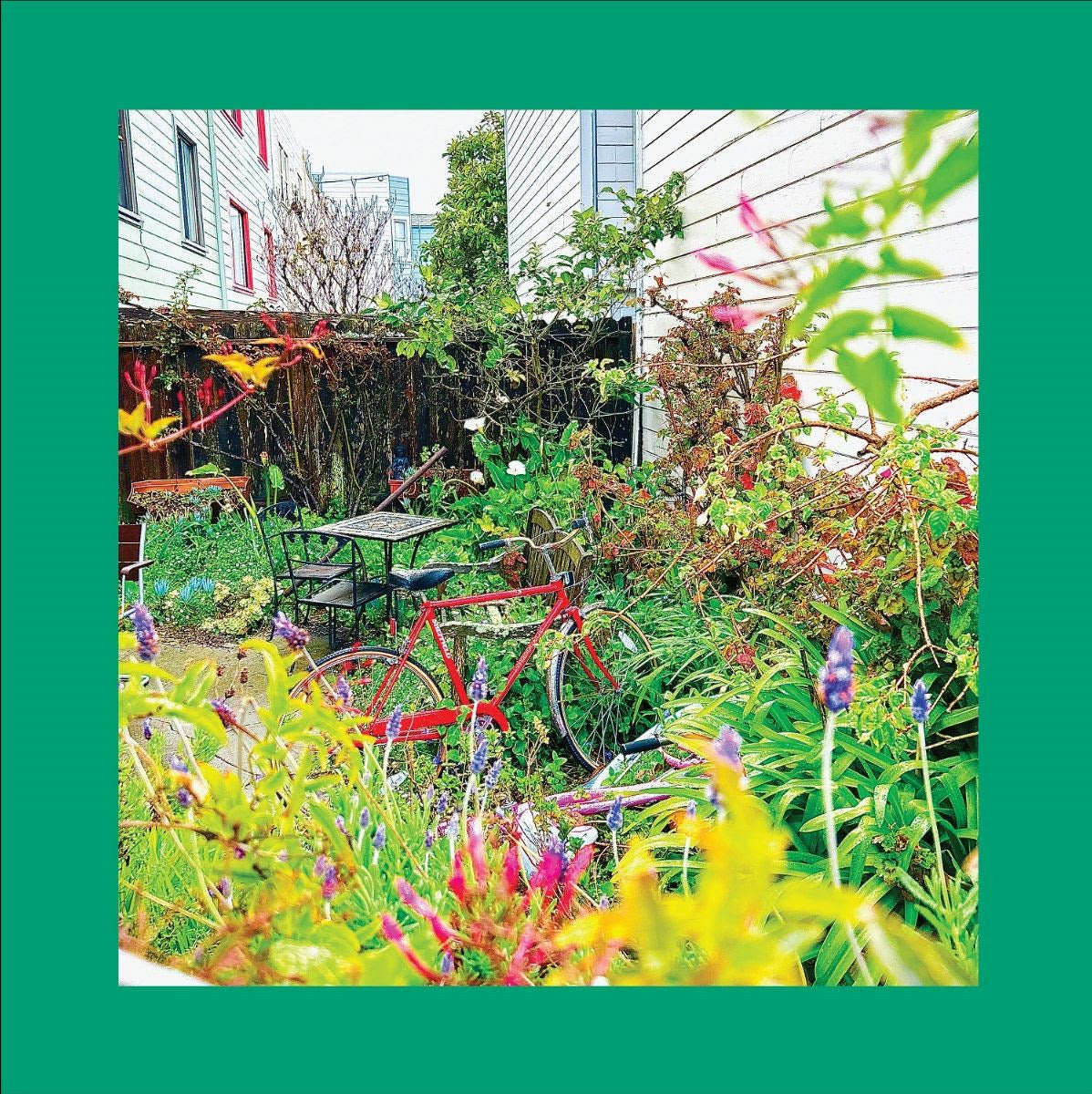 The Reds, Pinks & Purples - Unwishing Well (LP, white vinyl)