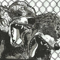 Urochromes - Night Bully (7")