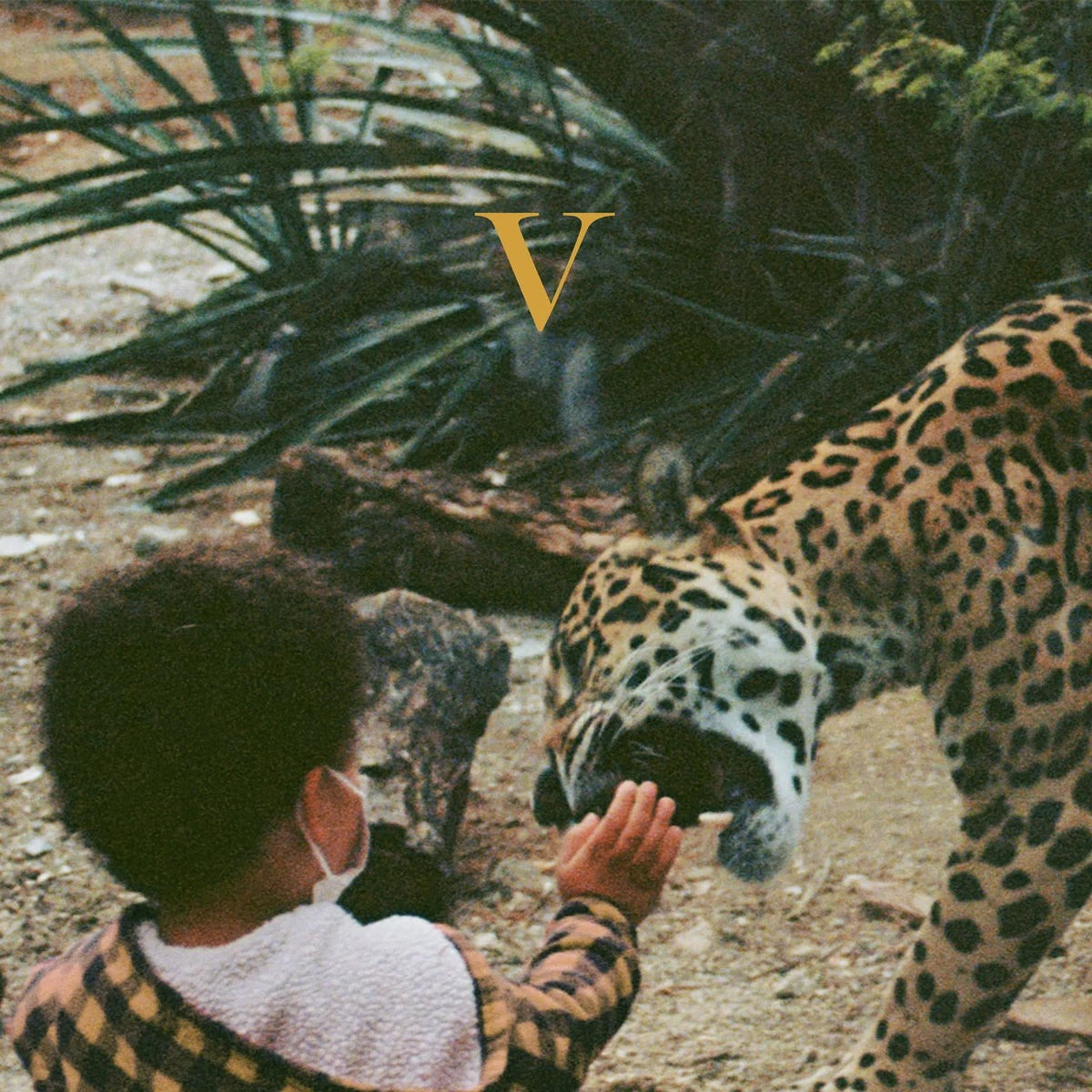 SALE: Unknown Mortal Orchestra - V (2xLP, golden nugget vinyl) was £29.99