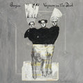 SALE: Barzin - Voyeurs In The Dark (LP) was £22.99