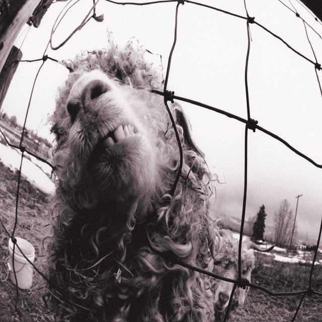 Pearl Jam - Vs (2xLP, 30th anniversary edition)
