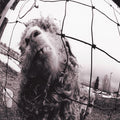 Pearl Jam - Vs (LP, clear vinyl)