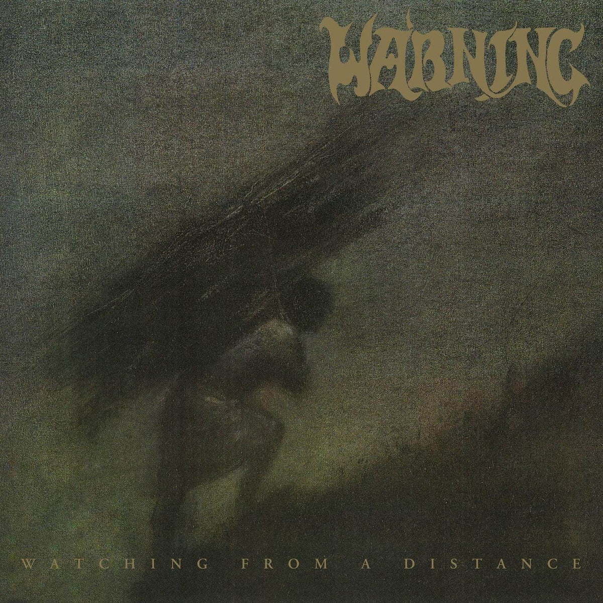 Warning - Watching From A Distance (2xLP, custom marble vinyl)
