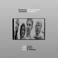 The Dream Syndicate - What Can I Say? No Regrets... (3xCD boxset)