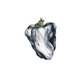 Ween - White Pepper (LP, green pepper vinyl)