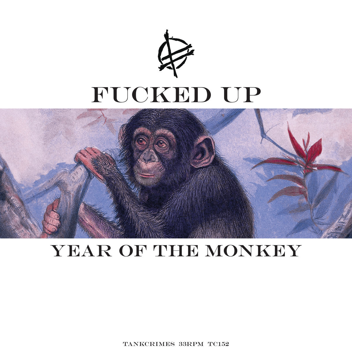 Fucked Up - Grass Can Move Stones II: Year of the Monkey (2xLP)